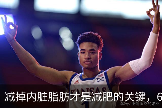 减掉内脏脂肪才是减肥的关键，6个方法让体脂率轻松掉10%！