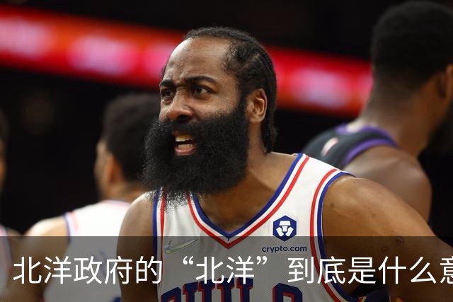 北洋政府的“北洋”到底是什么意思？不是北方洋人的意思